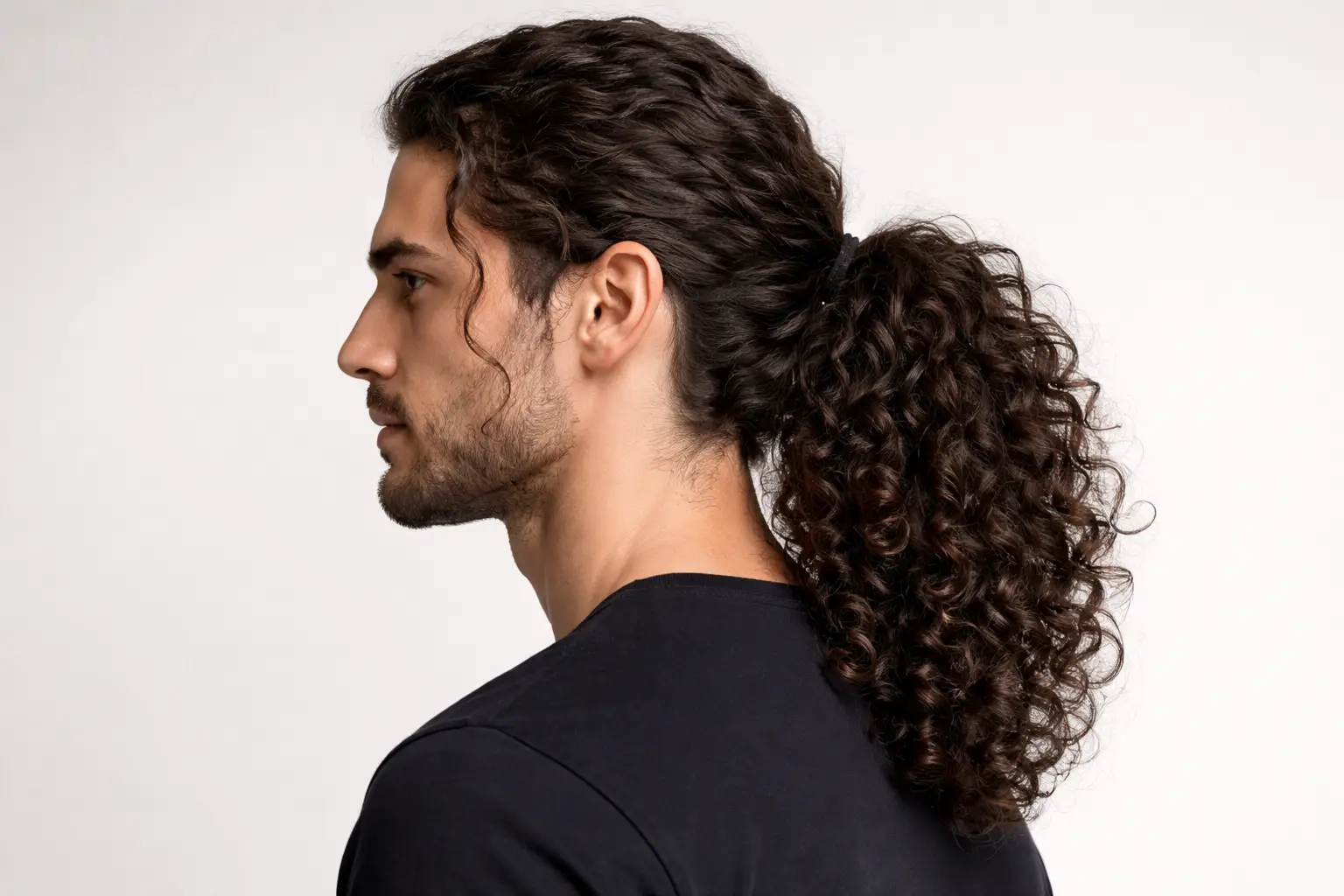 Curly Ponytail