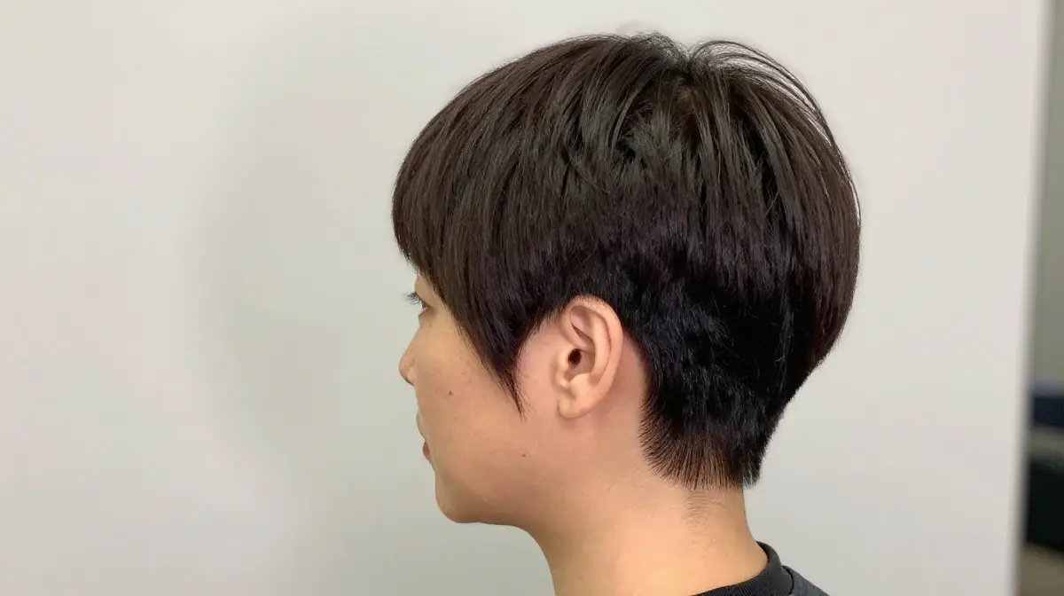 Tapered Pixie Bob