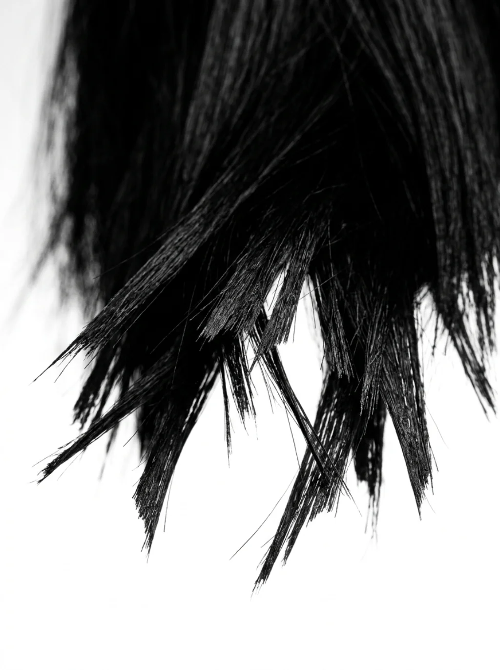 Razor Edges Adding Serious Bite to Soft Foundations